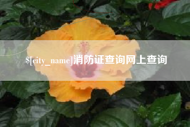 贵州消防证查询网上查询