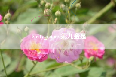 贵州第九金是