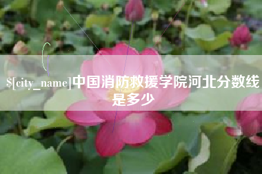贵州中国消防救援学院河北分数线是多少
