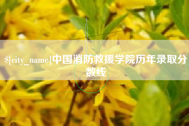 贵州中国消防救援学院历年录取分数线