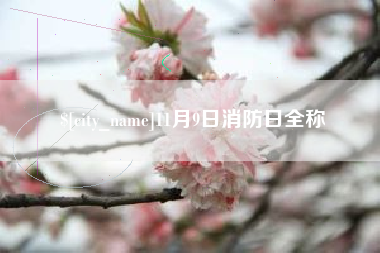 贵州11月9日消防日全称