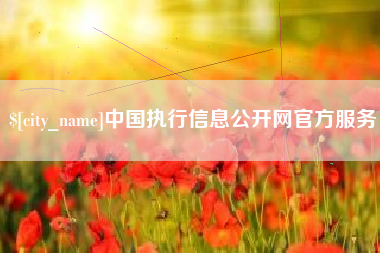 贵州中国执行信息公开网官方服务