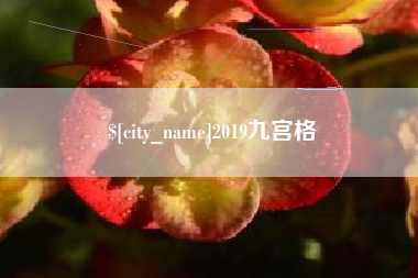 贵州2019九宫格