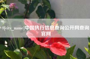 贵州中国执行信息查询公开网查询官网
