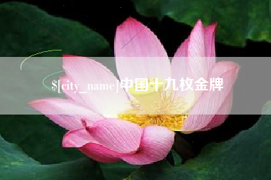 贵州中国十九枚金牌