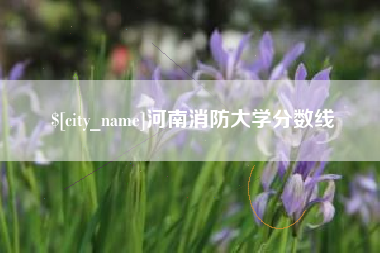 贵州河南消防大学分数线