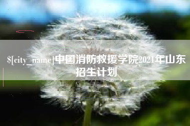 贵州中国消防救援学院2021年山东招生计划