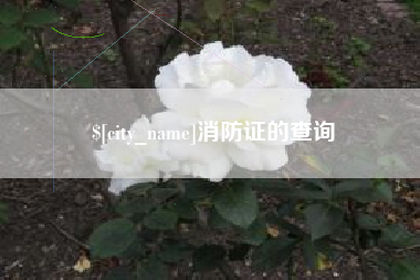 贵州消防证的查询