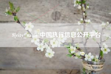 贵州中国执行信息公开平台