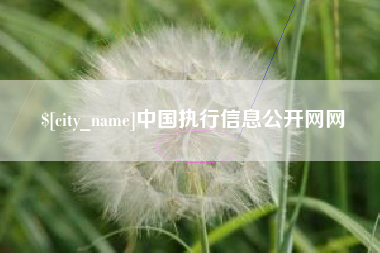 贵州中国执行信息公开网网