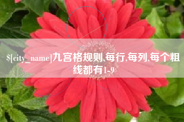 贵州九宫格规则,每行,每列,每个粗线都有1-9