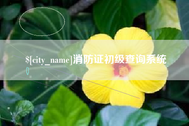 贵州消防证初级查询系统