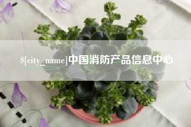 贵州中国消防产品信息中心