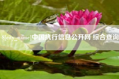 贵州中国执行信息公开网 综合查询