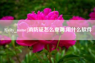 贵州消防证怎么查询,用什么软件