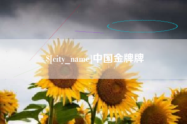 贵州中国金牌牌