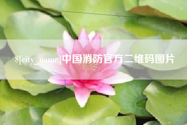 贵州中国消防官方二维码图片