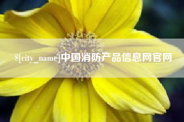 贵州中国消防产品信息网官网