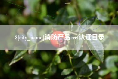 贵州消防产品cccf认证目录