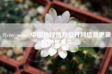 贵州中国执行信息公开网信息更新时间是多久