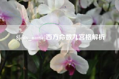 贵州西方命数九宫格解析