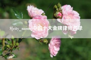 贵州中国十大金牌律师名单