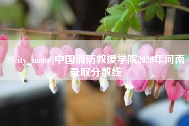 贵州中国消防救援学院2020年河南录取分数线