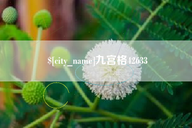 贵州九宫格42633