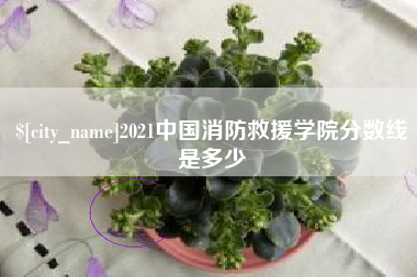 贵州2021中国消防救援学院分数线是多少
