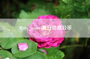 贵州执行信息公示