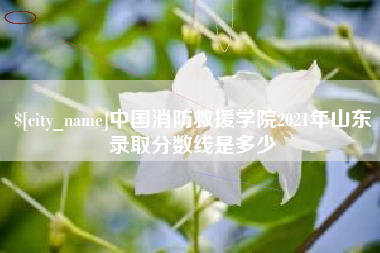 贵州中国消防救援学院2021年山东录取分数线是多少
