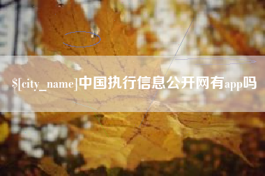 贵州中国执行信息公开网有app吗
