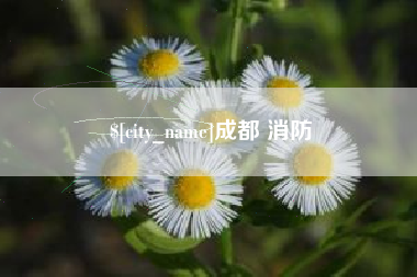 贵州成都 消防