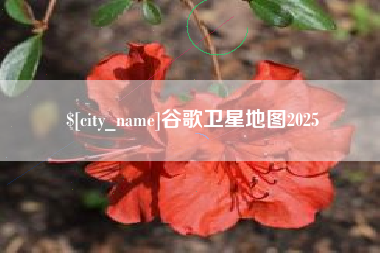 贵州谷歌卫星地图2025