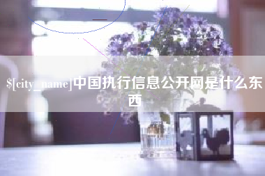 贵州中国执行信息公开网是什么东西