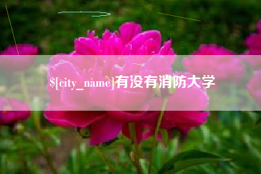 贵州有没有消防大学