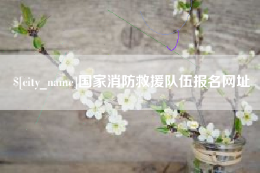 贵州国家消防救援队伍报名网址