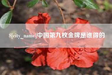 贵州中国第九枚金牌是谁得的
