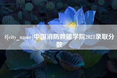贵州中国消防救援学院2021录取分数