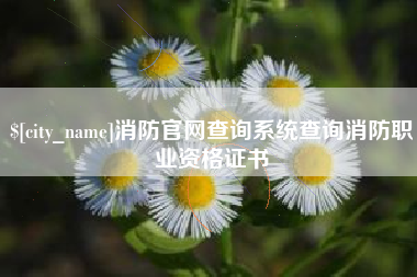 贵州消防官网查询系统查询消防职业资格证书
