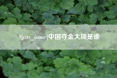 贵州中国夺金大项是谁