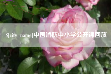 贵州中国消防中小学公开课回放