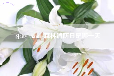 贵州森林消防日是哪一天