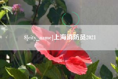 贵州上海消防员2021