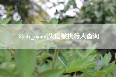 贵州失信被执行人杳询