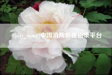 贵州中国消防救援招录平台