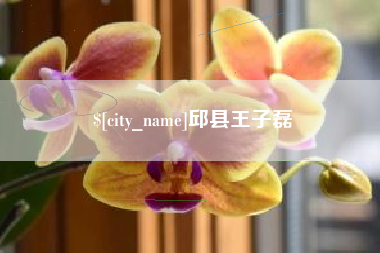 贵州邱县王子磊