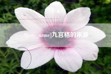 贵州九宫格的来源