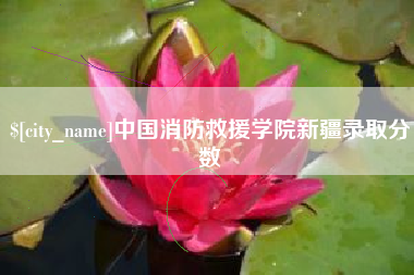 贵州中国消防救援学院新疆录取分数