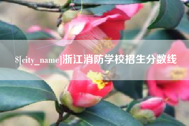 贵州浙江消防学校招生分数线